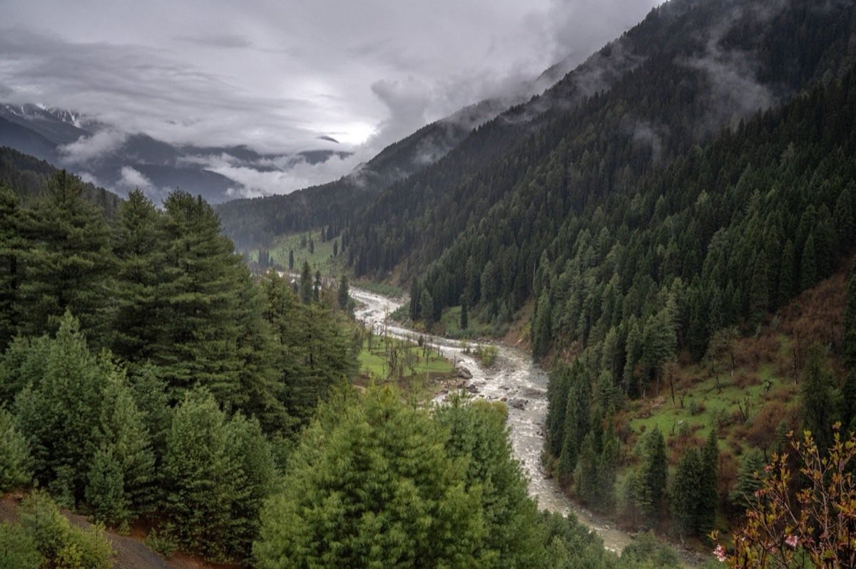 Aru Valley
