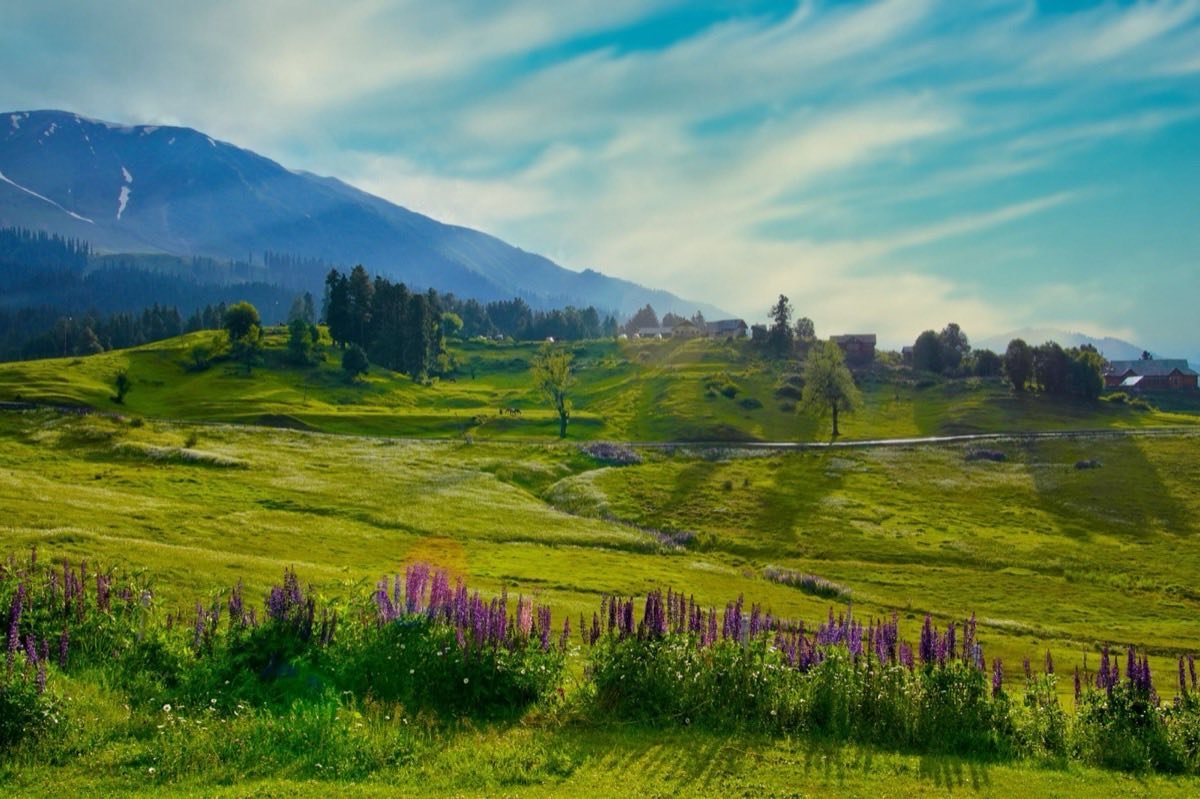 Bangus Valley