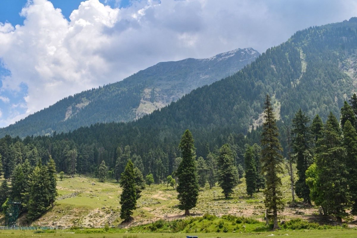 Dachigam National Park