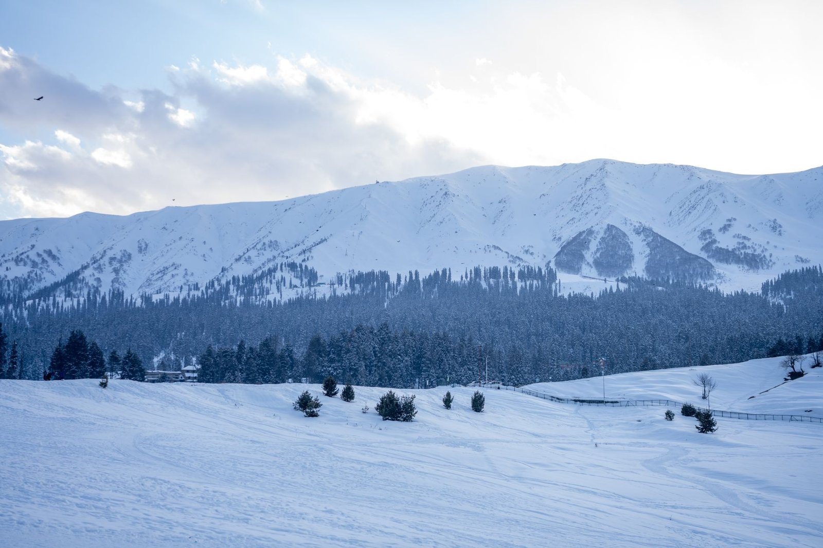 Kashmir valley landscape