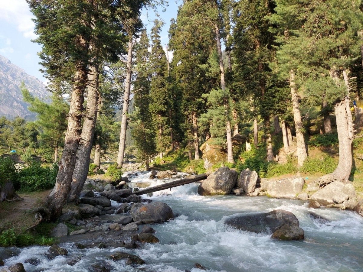 Budget Kashmir Package 5 Nights